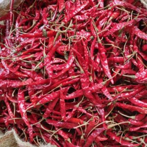 Guntur Dry Red Chilli (Teja S17)